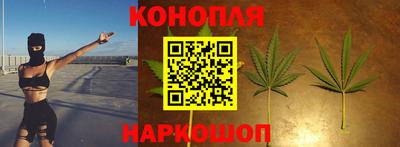 сатива Гусев