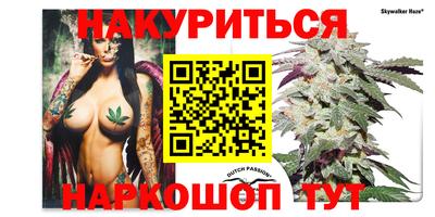 сатива Гусев
