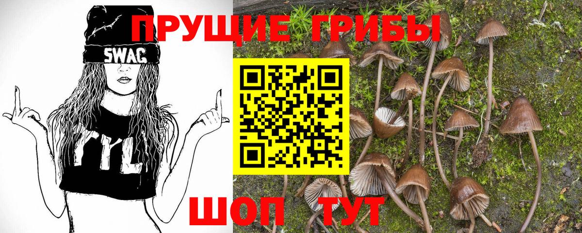 Междуреченск  Галлюциногенные грибы ЛСД  Вход с VPN 