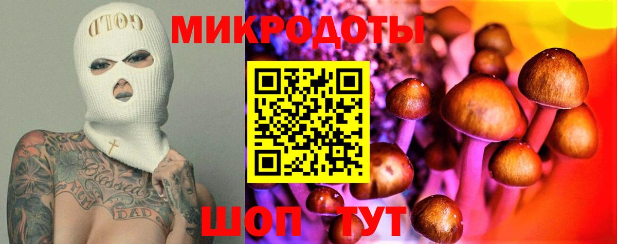 Псилоцибиновые грибы Psilocybe Междуреченск